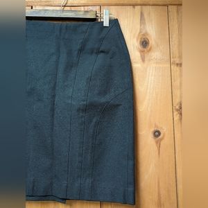 Banana Republic Pencil Skirt